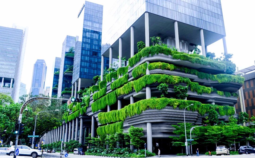 加快推进城乡建设绿色低碳发展410个钢结构构件,197个屋面单元板块